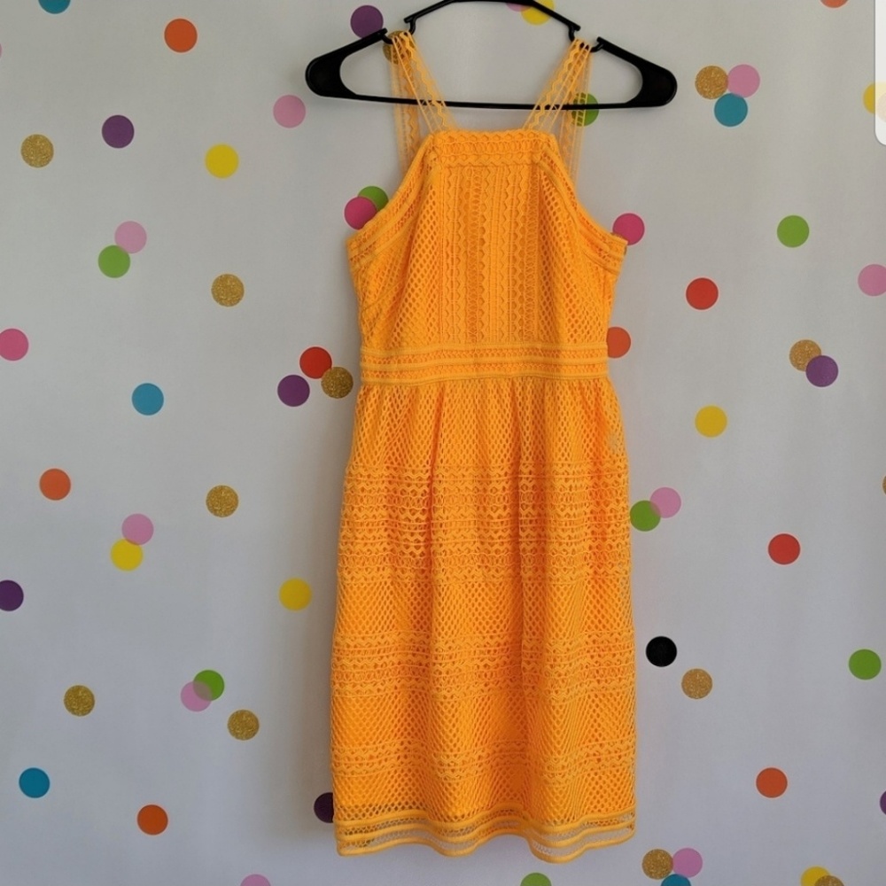 NWT Tahari ASL Honey dress 0